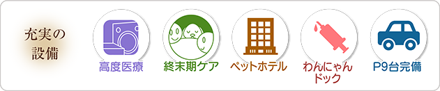城山通りどうぶつ病院の充実の設備